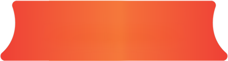 Thiết kế website Việt Nhân